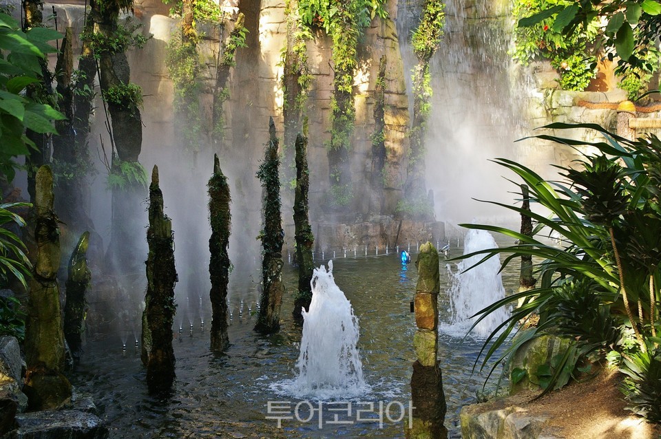 우림관광 이미지