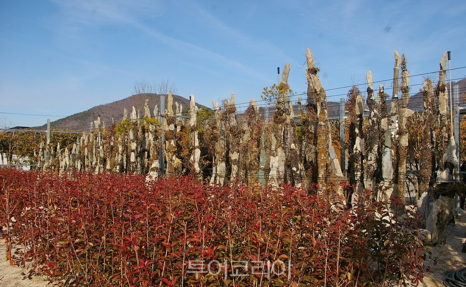우림관광 이미지