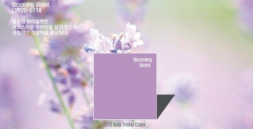 블루트렌드 이미지