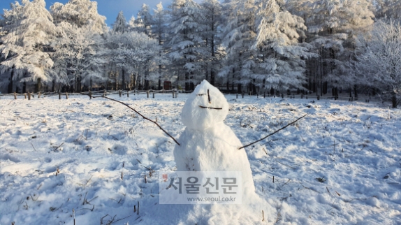 강원 정선과 태백 지역에선 겨울 하면 떠오르는 그 모습들이 곳곳에 펼쳐진다. 만항재 ‘하늘숲공원’ 앞에 세워진 눈사람.