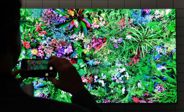 삼성전자가 지난 5일(현지시간) 미국 라스베이거스 시저스팰리스호텔에서 마이크로 LED 기술이 적용된 ‘더 월’ 신제품을 선보이고 있다. /라스베이거스=연합뉴스