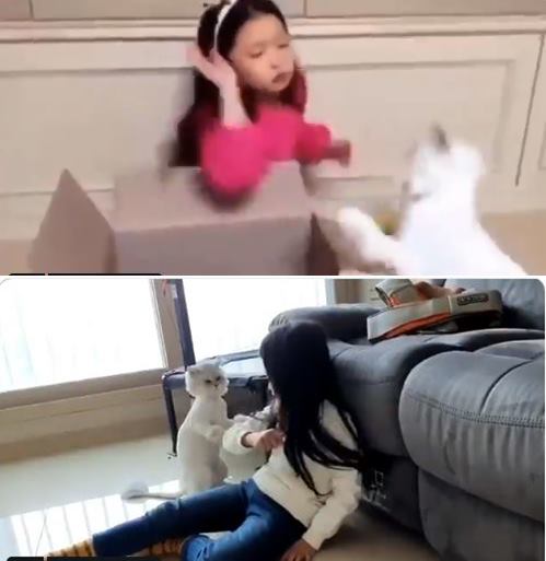 구사도 이미지