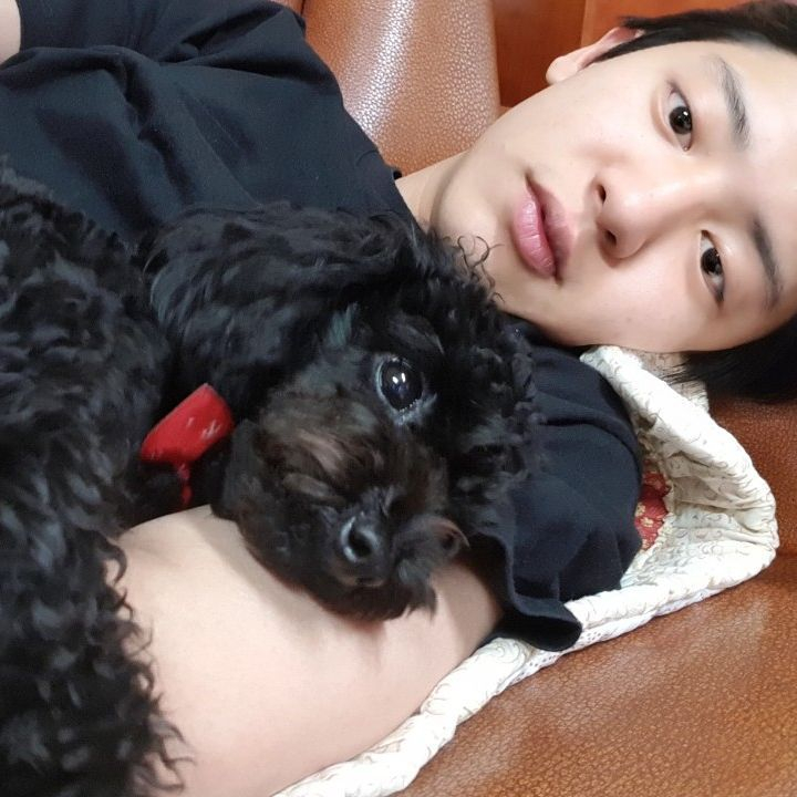 개스타그램 이미지