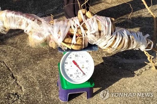 하눌타리 이미지