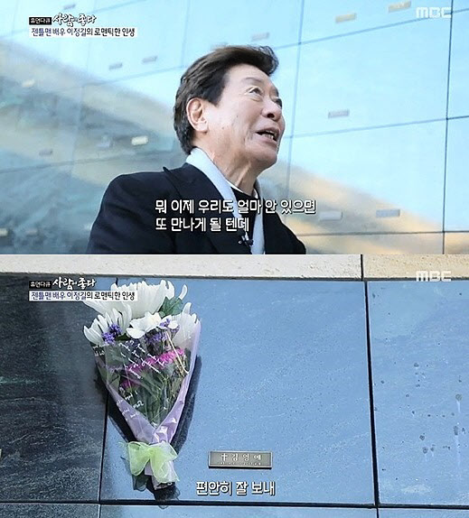 김영애 이미지