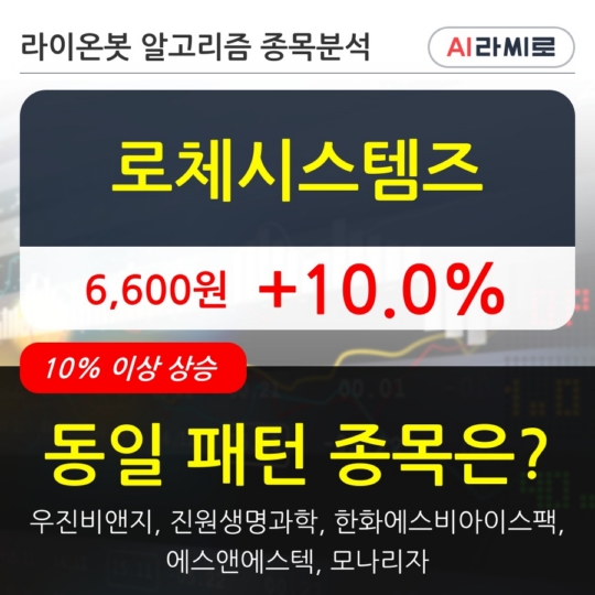 로체시스템즈(주)() 이미지