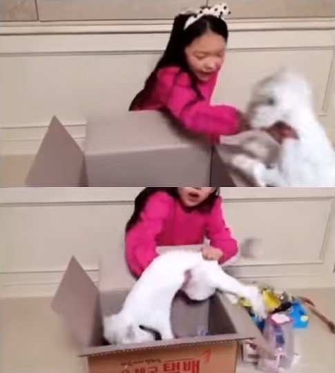 구사도 이미지