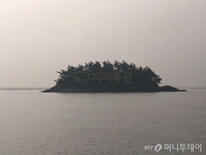 지난해 경매에 올라와 감정가보다 높은 가격에 팔린 신안군 증도면 까치섬. /사진제공=지지옥션