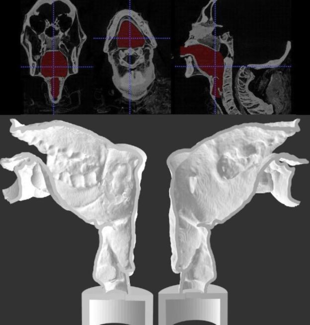 CT로 촬영한 미라의 성대(위)아 3D 프린팅으로 만든 인공 성대(아래). 사이언티픽 리포트