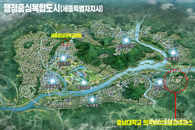 세종의학 이미지