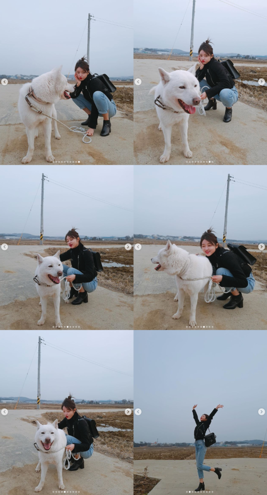 백구댁 이미지