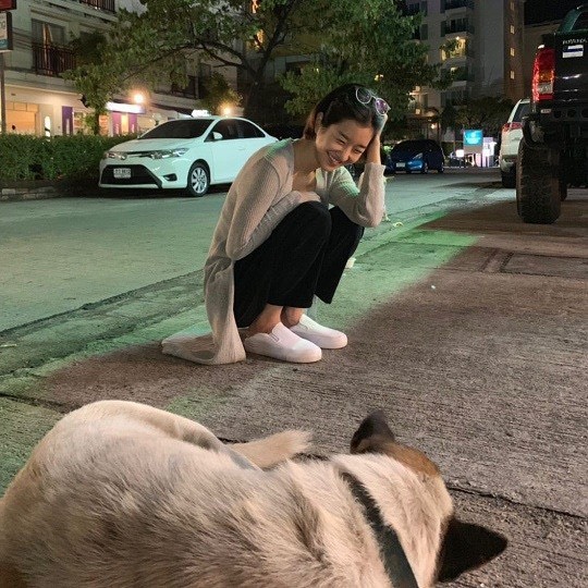 Actor Seo Ye-ji flaunted her innocent beautySeo Ye-ji posted a picture on his Instagram on January 28.The picture shows a squat looking at the puppy, the size of the small face and the lovely eyes of the Seo Ye-ji.The neat atmosphere of Seo Ye-ji also stands out.delay stock