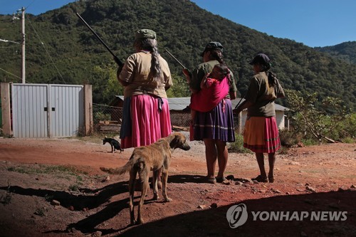 유인삼마을 이미지