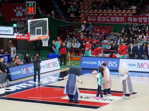 리즈코퍼레이션 이미지