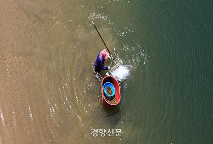 섬진강문화유산재첩 이미지