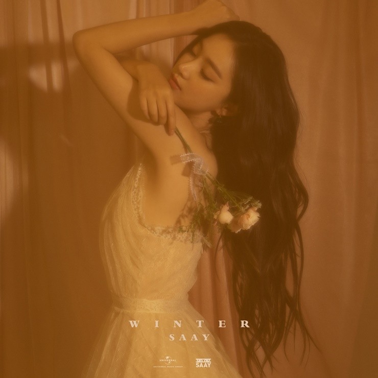쎄이영어 이미지
