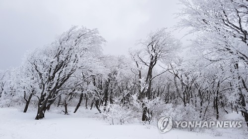 백두대간 치킨 이미지