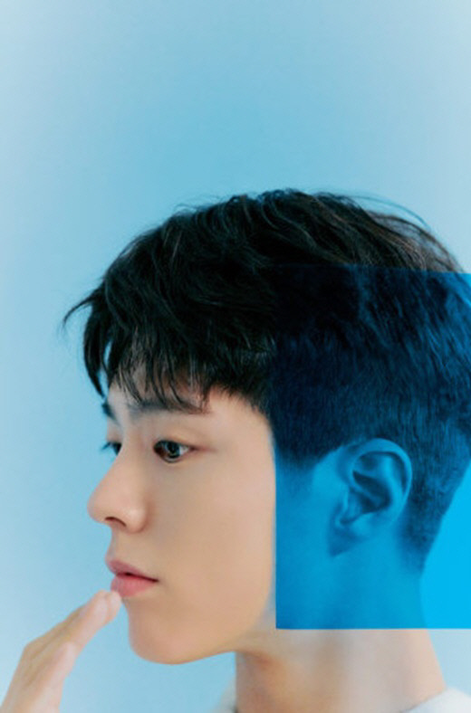 블루버드(Blue bird) 이미지