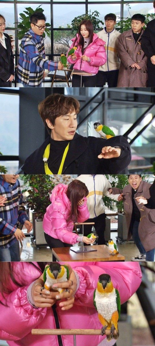 In the SBS entertainment program Running Man, Actor Park Ha-na will appear as a guest and show his personal period.Park Ha-na will appear as a guest on SBS Running Man, which will be broadcast on the 2nd.As soon as Park appeared in Running Man in the recent recording before the broadcast, he introduced himself and said, I will start my EDM dance personal period.He also said, There is a dance partner to join, a companion Parrot. He brought his companion Parrot Nana and showed EDM dance with him.Park Ha-nas Parrot was reported to have surprised the cast by showing a beat in line with the EDM beat.Lee Kwang-soo, who saw this, said, I am impressed that I am going to be caught in the moment!On the other hand, Park Ha-na surprised the members by showing a careful appearance to prepare for the three-way in the name of the members.In particular, it was reported that he laughed at the other members as well as the party, Jeon So-min, in the SBS Running Man, which includes Park Ha-nas activities, will be broadcasted at 5 pm on the 2nd.
