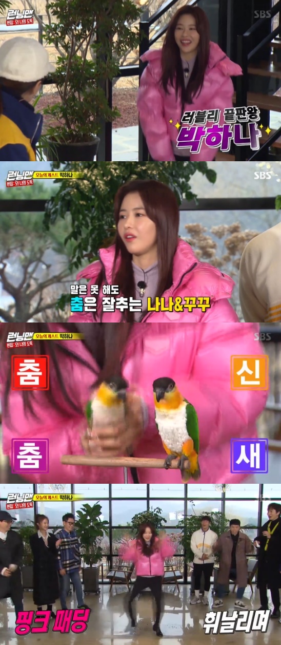 Running Man Park Ha-na appeared with companion Parrots.On the 2nd SBS Good Sunday - Running Man, Yang Se-chan and Haha formed a turbo with Kim Jong-guk.Park Ha-na, who appeared as a guest on the day, showed off her EDM dance. Park Ha-na called her Friend, saying, I brought my Friend because I was embarrassed to sing alone.Park introduced Nana and Kuku, and Ji Suk-jin was nervous when Nana approached.Park said, I can not speak well and dance. When the music came out, Nana started to ride rhythm. Then Park Ha-na showed Turbos Black Cat dance.Photo = SBS Broadcasting Screen