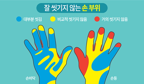 잘 씻기지 않는 손 부위