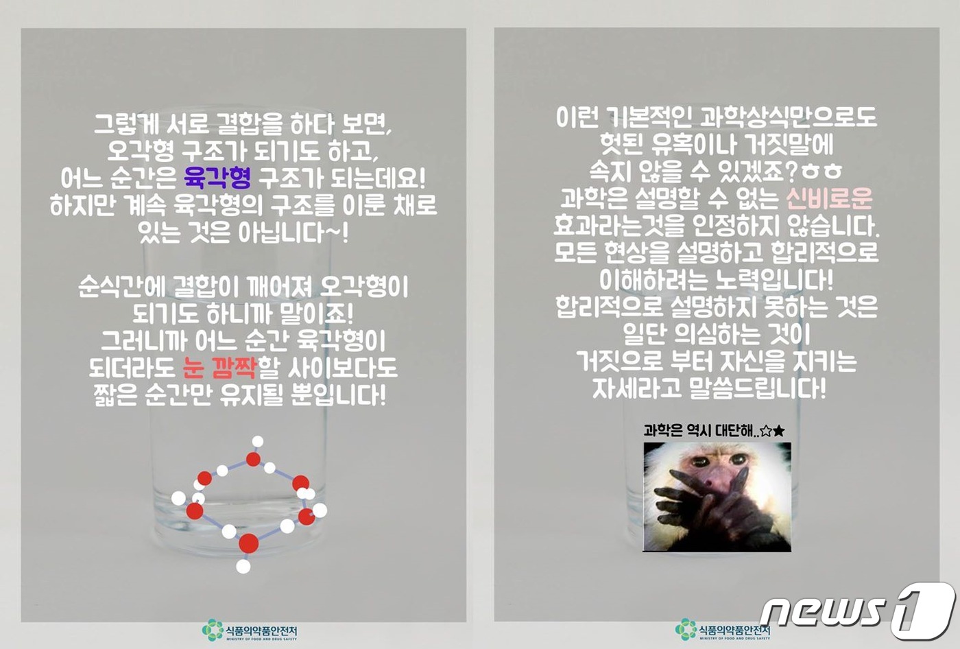 육각수식품 이미지
