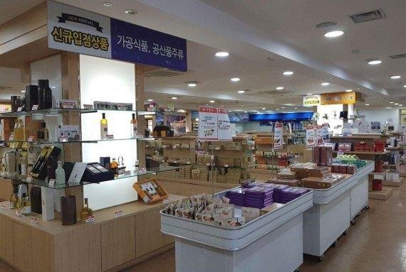 제주제이스타 이미지