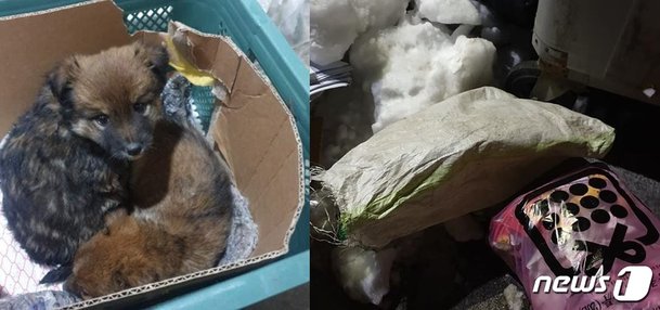 태백노래연습장 이미지
