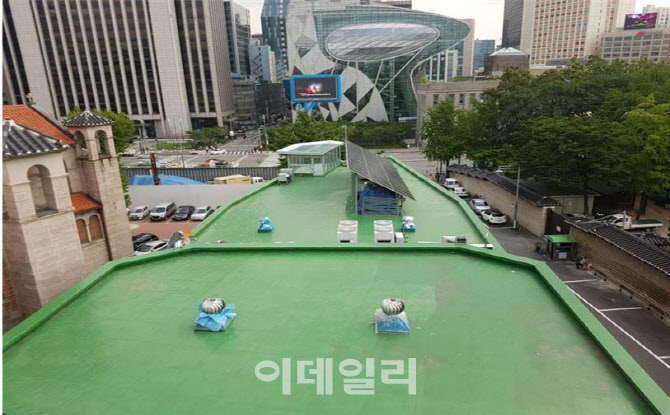 세실 이미지