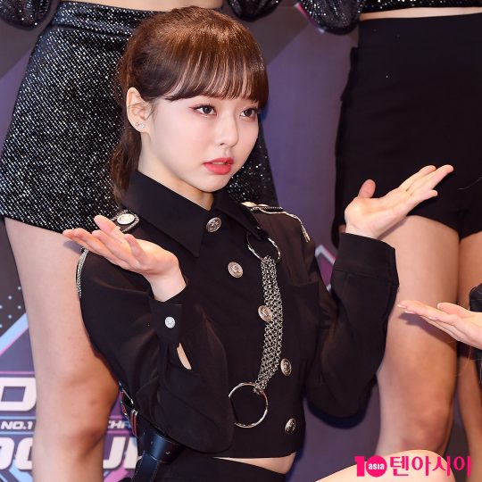 비비드림 이미지