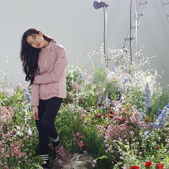 Singer and Actor Bae Suzy flaunted her innocent beautyBae Suzy Management Forest Official Instagram posted a photo on February 6 with an article entitled Spring and Summer of Bae Suzy I met in advance.Inside the picture is a picture of Bae Suzy sitting between a pile of flowers; Bae Suzy smiles brightly; Bae Suzys distinct features and neat atmosphere captures the eye.delay stock
