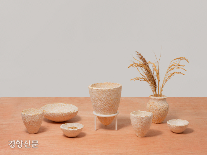 바이오셀리움 이미지