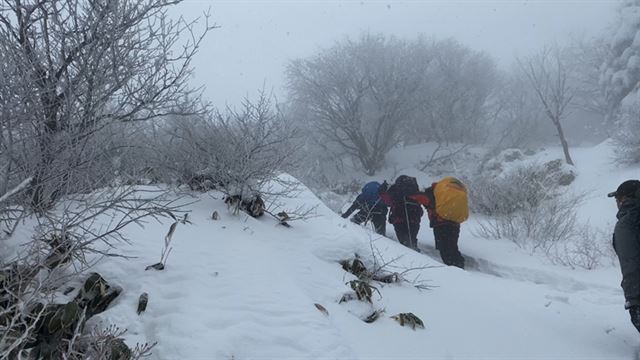 February 9 (Sun)into the Frozen made by HallasanVideo album mountain (KBS2 Morning 7.20)In the middle of Jeju Island, which is loved by the natural environment of heaven, there is Hallasan, which retains the mystery of ancient times.It is a report of ecosystems where various vegetation breathes, and heads to Hallasan, which has unique terrain and scenery.The snow that falls to the point of covering the ankle is piled up enough to sink the knee as the triangle Shelter approaches.In the middle of winter, the mountaineers are looking for a lot of winter training, and the Yongjingak Shelter is now standing next to it.A deep cloud covers the view, and Baengnokdam, which looks like Asri, seems to reach.Baengnokdam, who reaches the end of the twists and turns, shines brilliantly with white eyes full.Running Man to celebrate 10th anniversary, opens luxury partyRunning Man (SBS 5.00pm)Running Man members who have been racing for 10 years enjoy a special celebration party. The members will be able to reveal the identity of the gift prepared with their sincerity.Running Man 10 years of dizzying memories that were forcibly released at the same time as gifts create laughter and shock.The parade of charms and the feast of the party, which is added by Kim Jong Kook, is also featured. The rare food procession that can not be tasted at any time captures the members five senses.Followed by Introduce My Running Man Friend as a program to decorate the Partys Great America.Sometimes it takes an unpredictable action, and it captures the special Running Man Friends who express their intense feelings with a loving gaze.I get wet into memories that I have been with for 10 years.