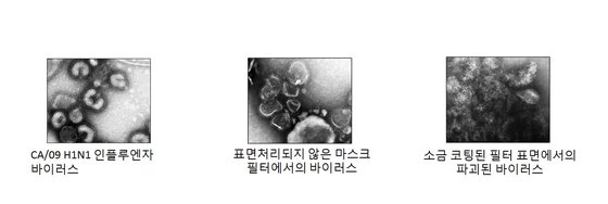 일반 마스크와 소금 코팅된 마스크에 각각 인플루엔자 바이러스를 묻히자 확연히 다른 결과가 나왔다. [최효직 교수 제공]