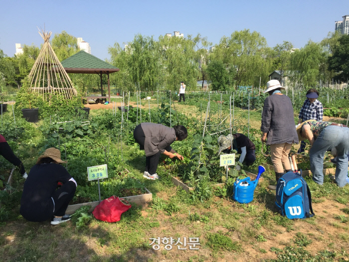 소사농장 이미지