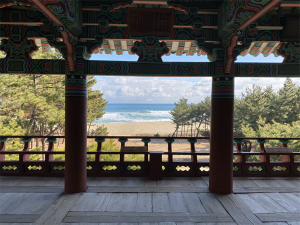 솔숲과바다 이미지