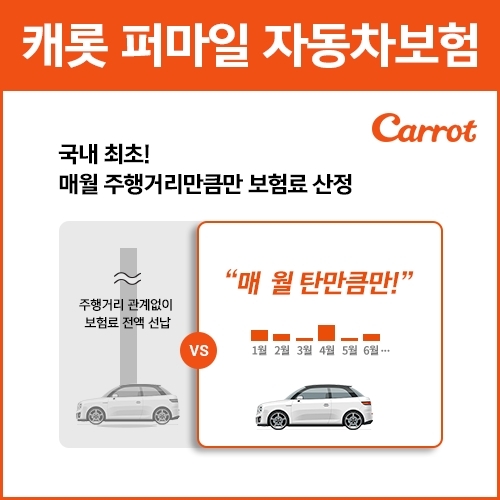 빅캐롯 이미지