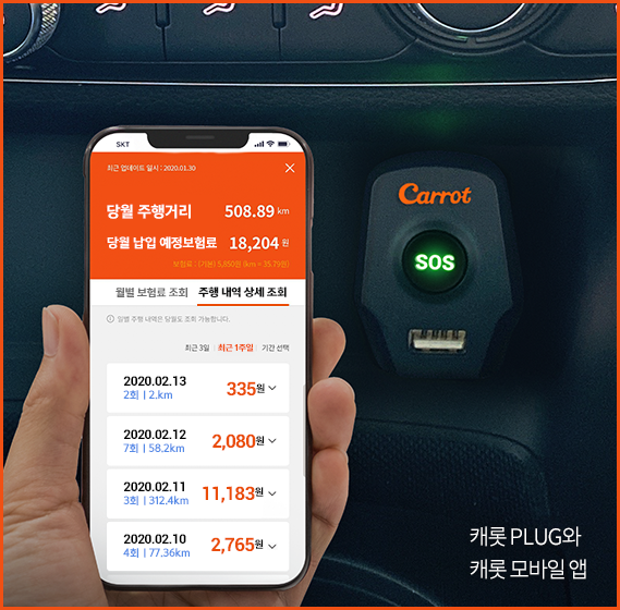 빅캐롯 이미지