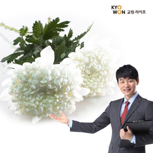 대림라이프상조 이미지