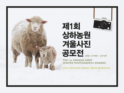 상하 이미지