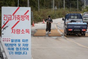 돼지울타리 이미지