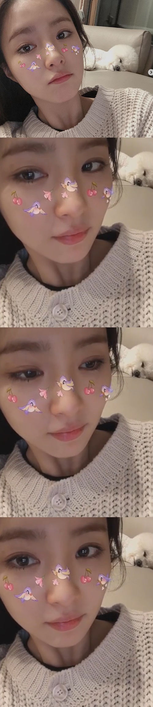 Actor Shin Se-kyung showed off her beautiful beautiful beautiful looksOn the 15th, Shin Se-kyung posted photos and videos on his instagram with an article entitled Good for You.In the open photo, Shin Se-kyung showed off his fresh beautiful looks using a filter with birds and cherries on his face.Then, the video was taken with the same filter and attracted attention.In the pure beautiful look, which has a clear eye, the netizens responded beautiful, pretty, cute.Meanwhile, Shin Se-kyung appeared on MBCs New Entrance Officer in September last year and is currently reviewing his next film.