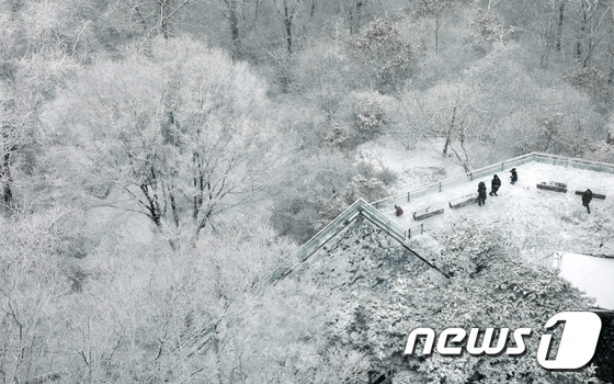 눈이 내리는 16일 중구 남산서울타워에서 바라본 남산이 하얀 눈으로 덮여 있다./사진=뉴스1