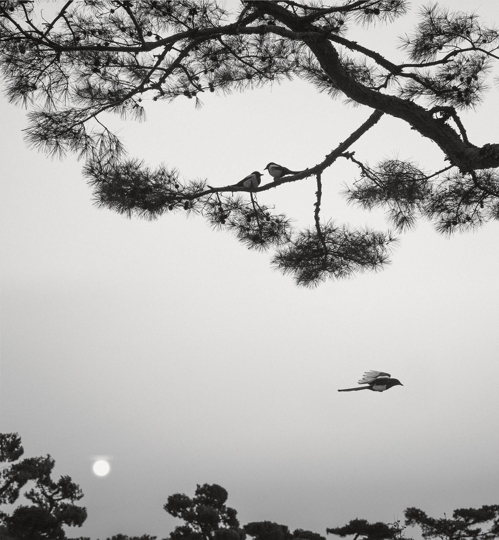 Seoul, KOREA, 2016 ⓒ Pentti Sammallahti [공근혜갤러리 제공]