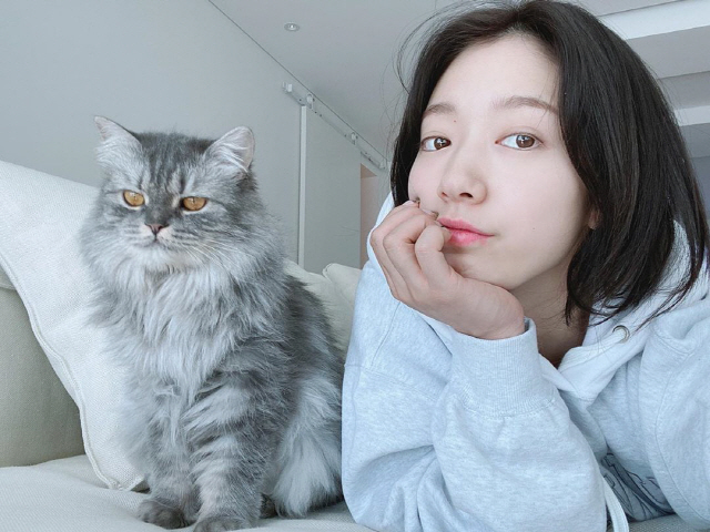 Actor Park Shin-hye, who celebrated his thirty-one birthday today (18th), unveiled Minmuk Selfie.Park Shin-hye told his Instagram on the 18th, I came to my mothers house in the morning to eat seaweed soup.I was able to do this morning because of the celebration and love you sent me. Thank you. My loves.I try to live happy every day, but today I will spend more happy than any other day. Park Shin-hye in the photo is posing next to the companion grave.Park Shin-hye showed off her natural beauty dignity by sporting a bleak immaculate skin even without a toilet.Park Shin-hye also showed off his affection for the companion, adding a hashtag, My face is bread, but Harry is cute.Meanwhile, Park Shin-hye played Seo Yeon, a character who tried to change the past after accidentally connecting to Young Sook (Jeon Jong-seo), who lives in the same house, 20 years ago in the movie Call, which is scheduled to open in March.It is also set to release the film #ALONE (gaze) that has been in close contact with young children.