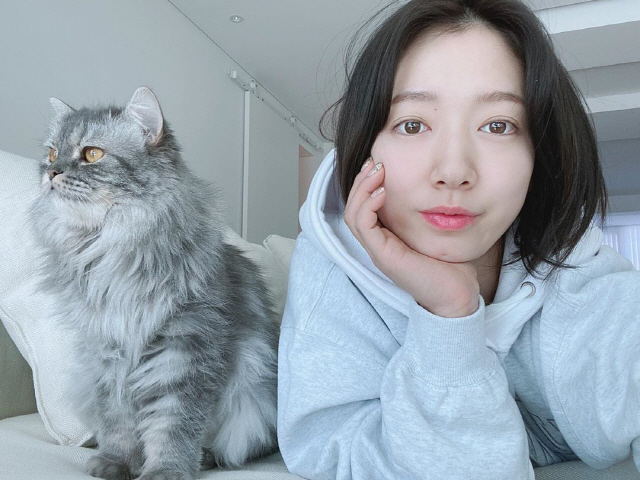 Actor Park Shin-hye, who celebrated his thirty-one birthday today (18th), unveiled Minmuk Selfie.Park Shin-hye told his Instagram on the 18th, I came to my mothers house in the morning to eat seaweed soup.I was able to do this morning because of the celebration and love you sent me. Thank you. My loves.I try to live happy every day, but today I will spend more happy than any other day. Park Shin-hye in the photo is posing next to the companion grave.Park Shin-hye showed off her natural beauty dignity by sporting a bleak immaculate skin even without a toilet.Park Shin-hye also showed off his affection for the companion, adding a hashtag, My face is bread, but Harry is cute.Meanwhile, Park Shin-hye played Seo Yeon, a character who tried to change the past after accidentally connecting to Young Sook (Jeon Jong-seo), who lives in the same house, 20 years ago in the movie Call, which is scheduled to open in March.It is also set to release the film #ALONE (gaze) that has been in close contact with young children.