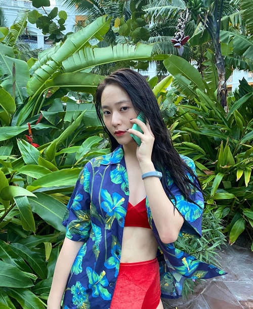 크리스탈장 이미지