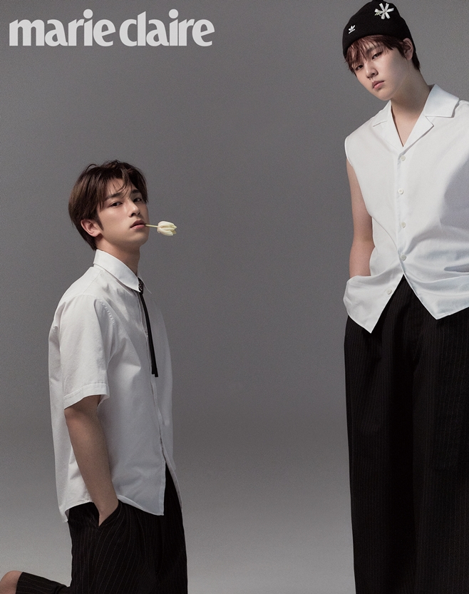 H&D 이미지