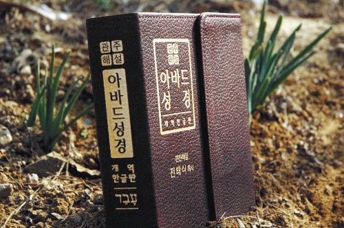 성경시스템 이미지