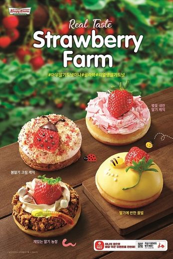 크리스피크림도넛 이미지